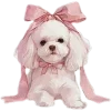 Sticker 🤍 darling ➜ @emoji1