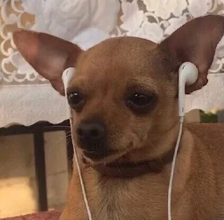 Video sticker 🙂 @E8_00