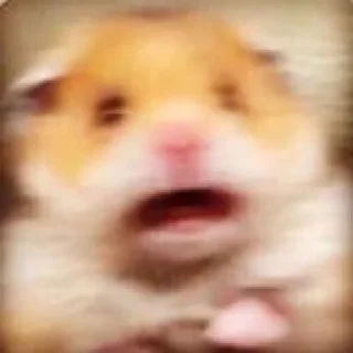 Telegram sticker 😧 @E8_00