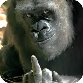 Telegram sticker 🫥 Nigger