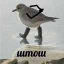 Sticker 😒 Штош