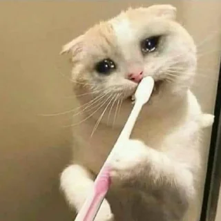 Telegram sticker 😭 Kiska pack hai?
