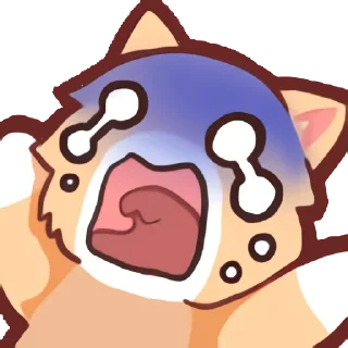 Video sticker 👨‍✈️ 🦄 Стики тут 👉 @TopStickerTop