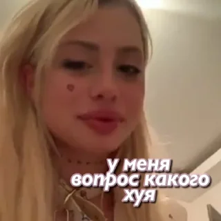 Телеграм стикер 😀 смысл жизни хофманнита