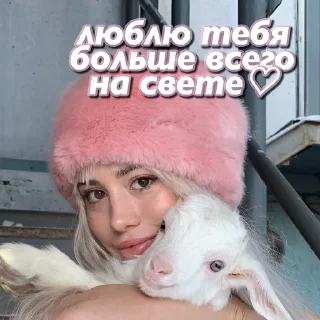 Video sticker 💘 смысл жизни хофманнита
