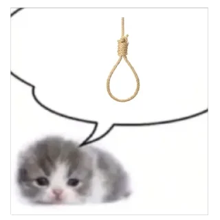 Telegram sticker 💭 Cats