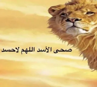 Telegram sticker 😎 Leo