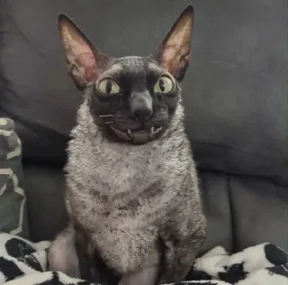 Sticker 😶 Набор говна :: @fStikBot