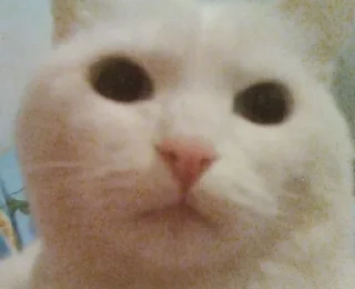 Telegram sticker 😟 Набор говна :: @fStikBot