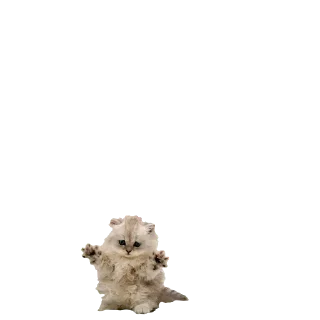 Telegram sticker 🙌 Набор говна :: @fStikBot