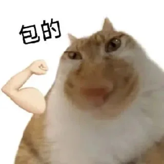 Telegram stiker 🌟 喵喵喵~🪳 @QQQQQQQQQ6699