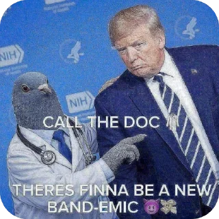 Video sticker 🫥 Pigeon Doctor