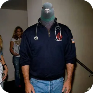 Telegram sticker 🫥 Pigeon Doctor