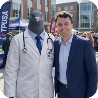 Telegram sticker 🫥 Pigeon Doctor