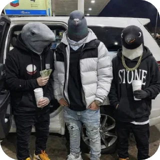 Video sticker 🫥 Pigeon Doctor