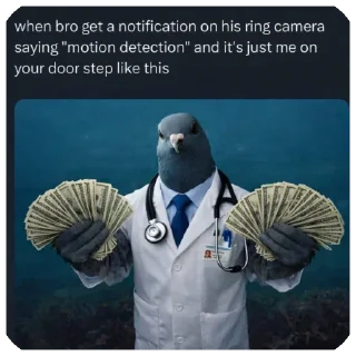Video sticker 🫥 Pigeon Doctor