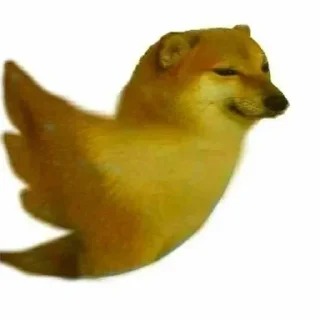 Sticker 😅 @XTZZZ_BOIII ᴘᴀᴄᴋ :: @fStikBot