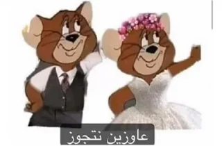Telegram sticker 👰 ككااايي @NoufAls