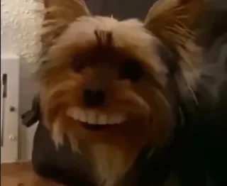 Telegram sticker 🙂 ككااايي @NoufAls