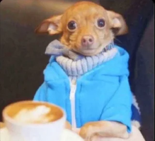 Telegram sticker 🤨 ككااايي @NoufAls