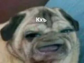 Telegram sticker 🌟 Кулич гондурас by @fStikBot