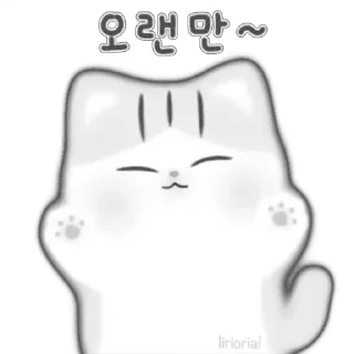 Video sticker 🐱 ♡︎ meow ♡︎ @liriorial