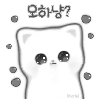 Video sticker 🐱 ♡︎ meow ♡︎ @liriorial