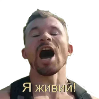 Телеграм стикер 💪 Favourite by @fStikBot