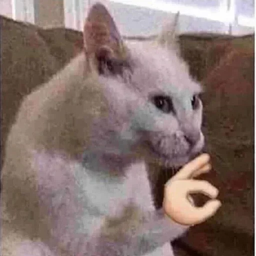 Телеграм стикер 👍 CRIS MJ