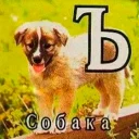 Video sticker 🐶 E 8 А 7 Ь