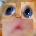 Video sticker 👁 E 8 А 7 Ь