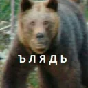 Telegram stiker 🐻 E 8 А 7 Ь