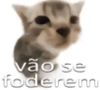 Telegram sticker 🖕 HouReações Bostileiras