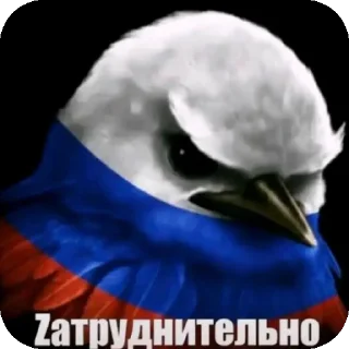 Telegram sticker 👍 Не уверен