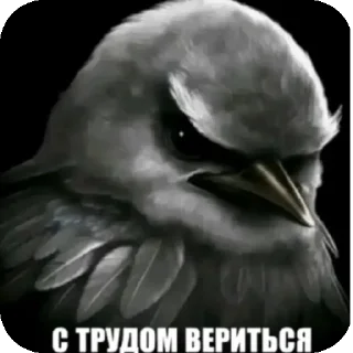 Telegram sticker 👍 Не уверен