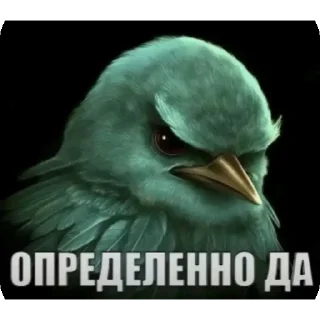 Telegram sticker 👍 Не уверен