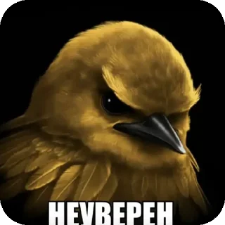 Video sticker 👍 Не уверен