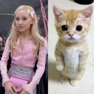 Video sticker 🎀 ㅤㅤ‌ ㅤㅤ‌glinda @u1ice grande !?