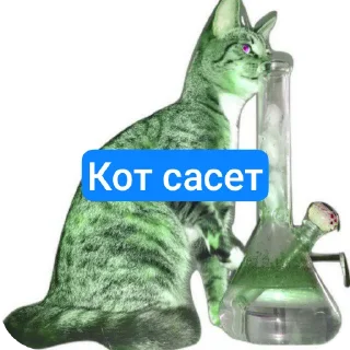 Telegram sticker 🧸 Говно