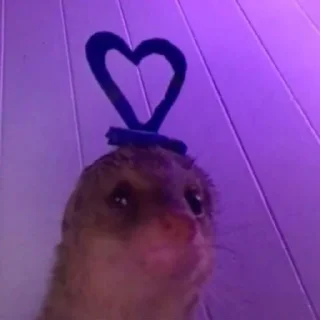 Telegram sticker 💙 yo