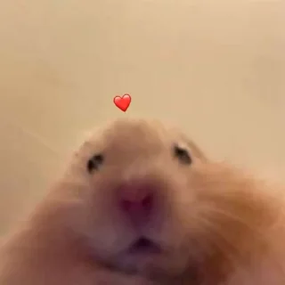 Telegram sticker ❤️ yo