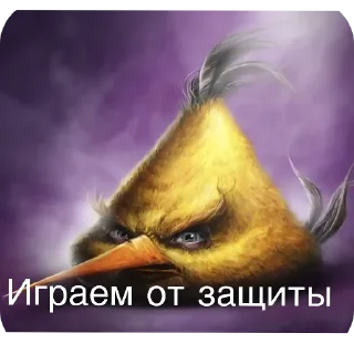 Telegram sticker 🐞 сидим не рипаемся