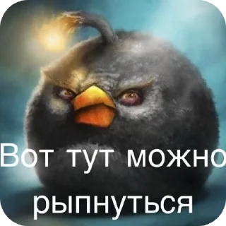 Telegram sticker 🐦 сидим не рипаемся