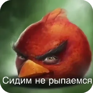 Sticker 👄 сидим не рипаемся