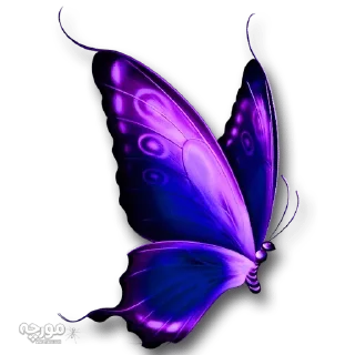 Telegram sticker 🐝 @gifsandimages  🦋Butterfly🦋 — @stckrRobot