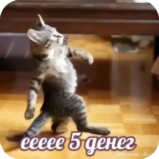 Telegram sticker 🐶 Котики 3 @zepp1e