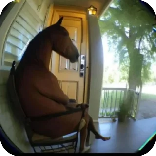 Video sticker 🛋 .