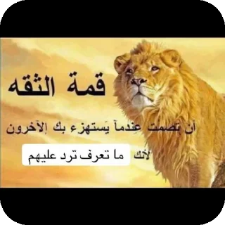 Telegram sticker 🐱 .