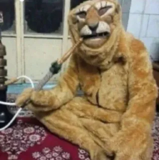 Telegram sticker ➖ .