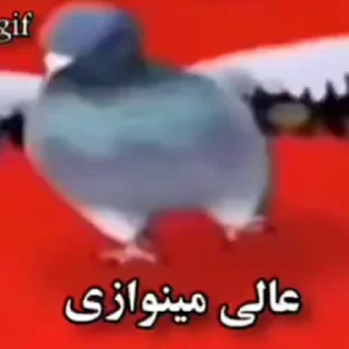 Video sticker 👌 @moeinhpour0  ⬅️ هزار تا استیکر خفن